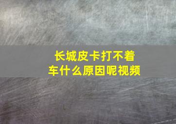 长城皮卡打不着车什么原因呢视频