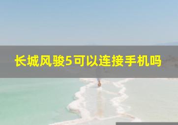 长城风骏5可以连接手机吗