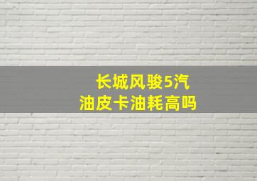 长城风骏5汽油皮卡油耗高吗