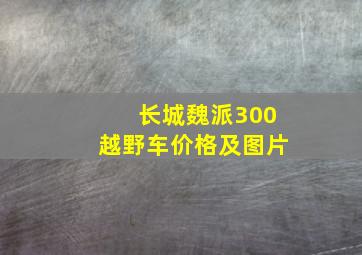 长城魏派300越野车价格及图片