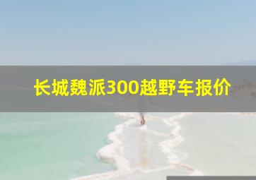 长城魏派300越野车报价