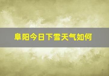 阜阳今日下雪天气如何