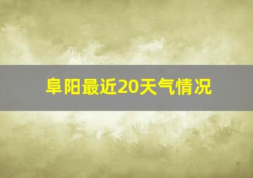 阜阳最近20天气情况