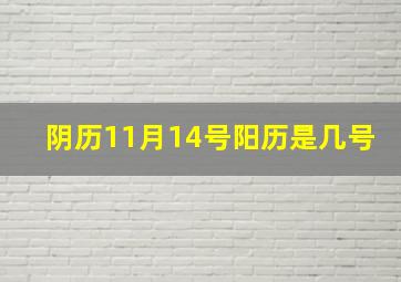 阴历11月14号阳历是几号