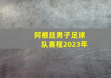 阿根廷男子足球队赛程2023年