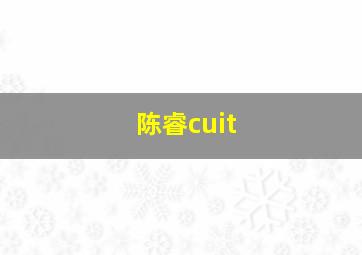 陈睿cuit