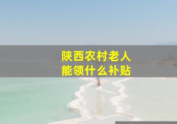 陕西农村老人能领什么补贴