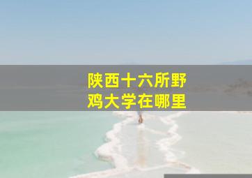 陕西十六所野鸡大学在哪里