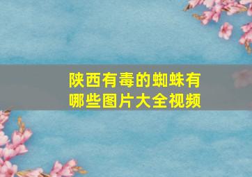 陕西有毒的蜘蛛有哪些图片大全视频