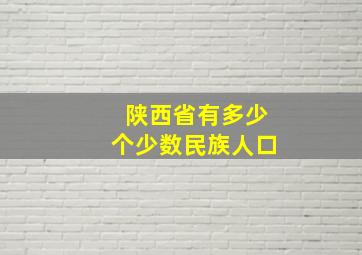 陕西省有多少个少数民族人口