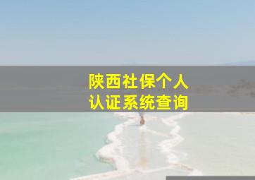 陕西社保个人认证系统查询