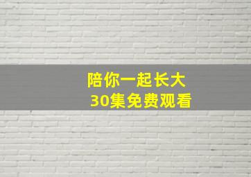 陪你一起长大30集免费观看