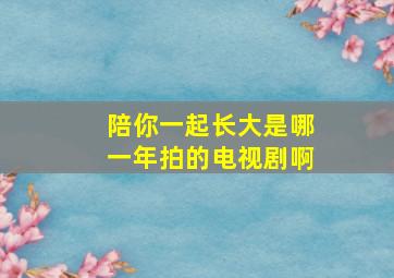 陪你一起长大是哪一年拍的电视剧啊