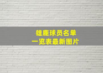 雄鹿球员名单一览表最新图片