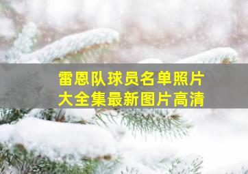 雷恩队球员名单照片大全集最新图片高清