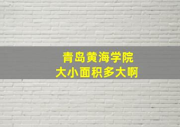 青岛黄海学院大小面积多大啊