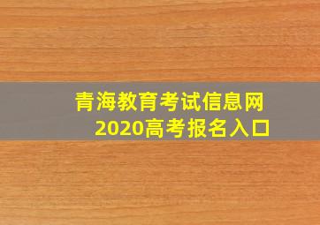 青海教育考试信息网2020高考报名入口