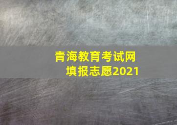 青海教育考试网填报志愿2021