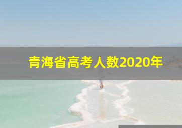 青海省高考人数2020年