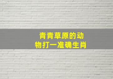 青青草原的动物打一准确生肖