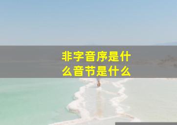 非字音序是什么音节是什么