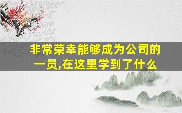 非常荣幸能够成为公司的一员,在这里学到了什么