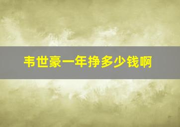 韦世豪一年挣多少钱啊