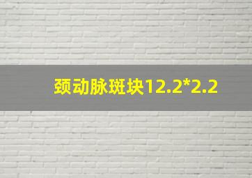 颈动脉斑块12.2*2.2