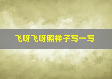 飞呀飞呀照样子写一写