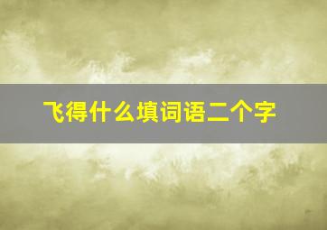 飞得什么填词语二个字