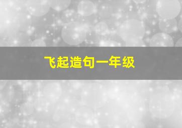 飞起造句一年级