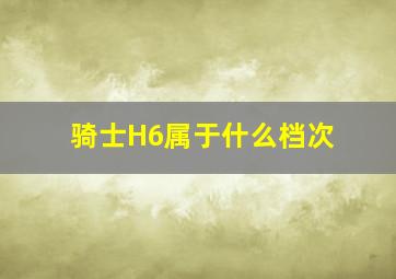 骑士H6属于什么档次