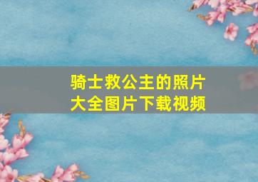 骑士救公主的照片大全图片下载视频