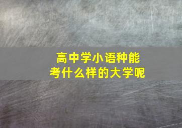 高中学小语种能考什么样的大学呢