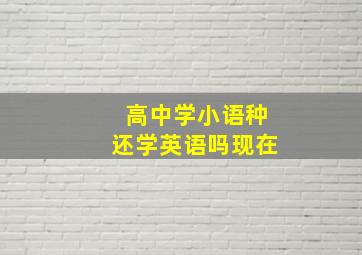 高中学小语种还学英语吗现在