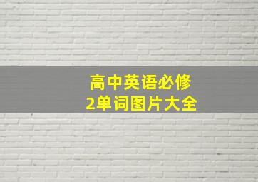 高中英语必修2单词图片大全