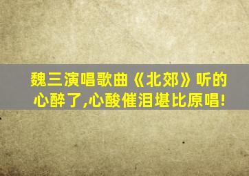 魏三演唱歌曲《北郊》听的心醉了,心酸催泪堪比原唱!