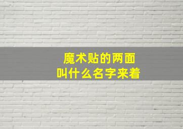 魔术贴的两面叫什么名字来着