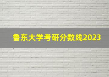 鲁东大学考研分数线2023