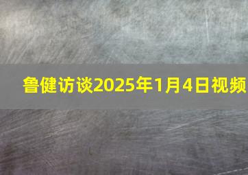 鲁健访谈2025年1月4日视频