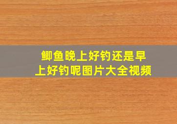 鲫鱼晚上好钓还是早上好钓呢图片大全视频