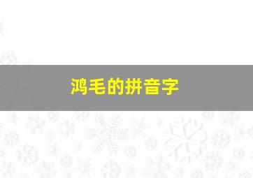 鸿毛的拼音字