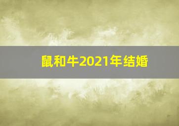 鼠和牛2021年结婚